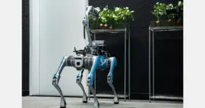 AI robot created in Abu Dhabi revolutionizes strawberry picking with precision