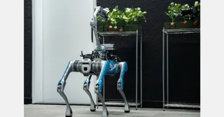 AI robot created in Abu Dhabi revolutionizes strawberry picking with precision